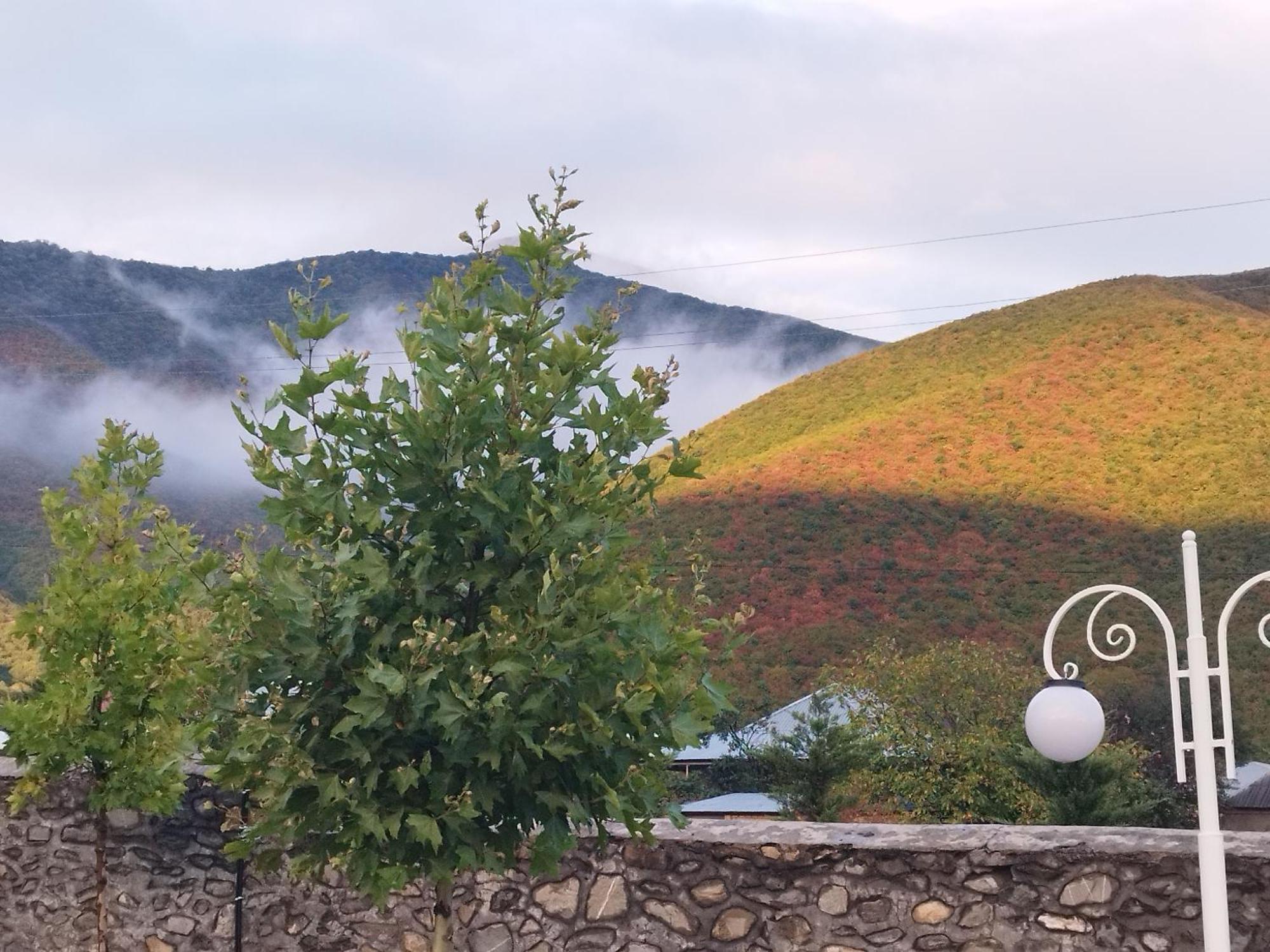 Tulpan Hotel Шеки Экстерьер фото
